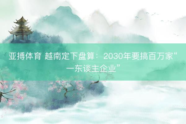亚搏体育 越南定下盘算：2030年要搞百万家“一东谈主企业”