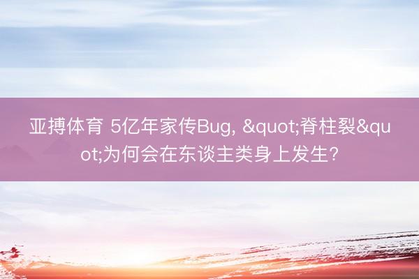 亚搏体育 5亿年家传Bug， "脊柱裂"为何会在东谈主类身上发生?