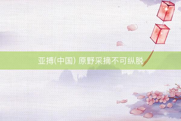 亚搏(中国) 原野采摘不可纵脱
