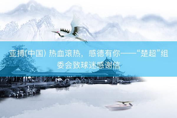 亚搏(中国) 热血滚热，感德有你——“楚超”组委会致球迷感谢信