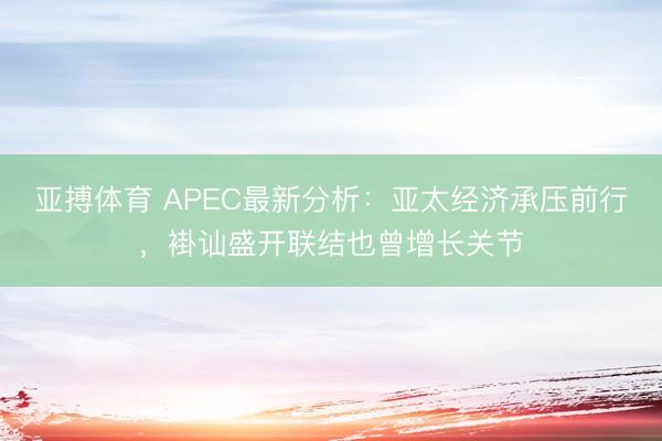 亚搏体育 APEC最新分析：亚太经济承压前行，褂讪盛开联结也曾增长关节