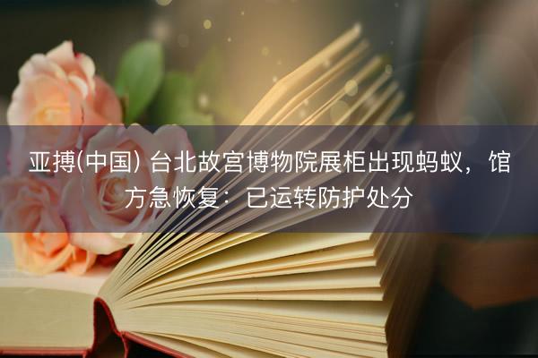 亚搏(中国) 台北故宫博物院展柜出现蚂蚁，馆方急恢复：已运转防护处分
