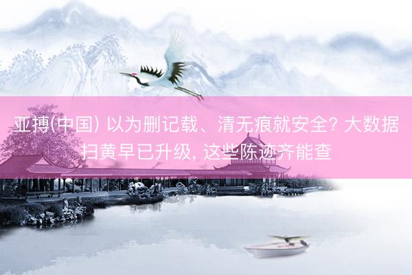 亚搏(中国) 以为删记载、清无痕就安全? 大数据扫黄早已升级， 这些陈迹齐能查