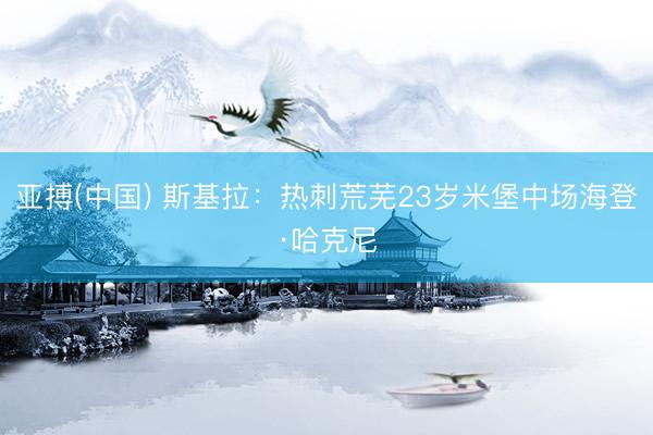 亚搏(中国) 斯基拉：热刺荒芜23岁米堡中场海登·哈克尼