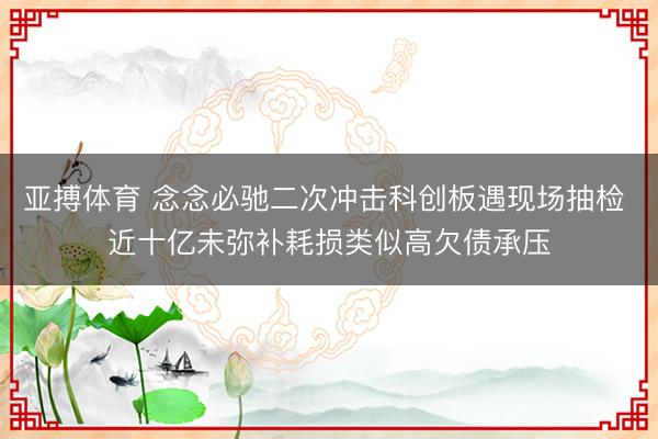 亚搏体育 念念必驰二次冲击科创板遇现场抽检 近十亿未弥补耗损类似高欠债承压