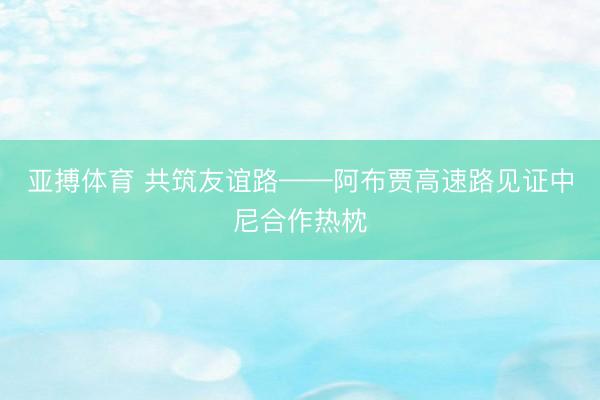 亚搏体育 共筑友谊路——阿布贾高速路见证中尼合作热枕