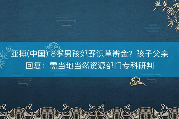 亚搏(中国) 8岁男孩郊野识草辨金？孩子父亲回复：需当地当然资源部门专科研判