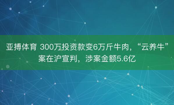 亚搏体育 300万投资款变6万斤牛肉,“云养牛”案在沪宣判,涉案金额5.6亿