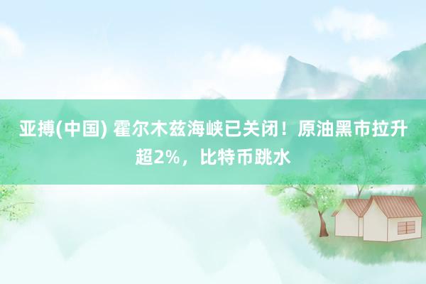 亚搏(中国) 霍尔木兹海峡已关闭!原油黑市拉升超2%,比特币跳水
